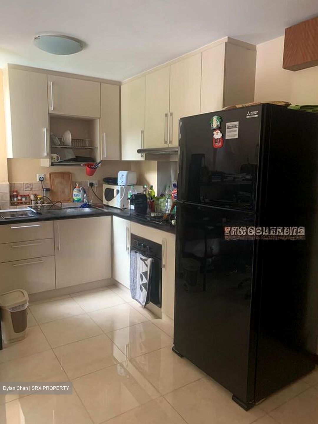 Sommerville Park (D10), Condominium #482286441